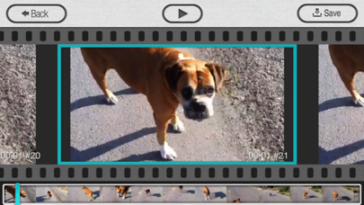 StillShot Screenshot