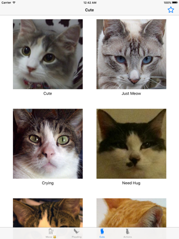 Screenshot #4 pour Son de chat- amoureux de chat