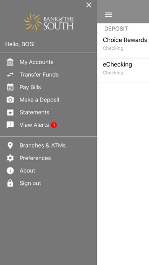 Bank of the South goDough(圖3)-速報App
