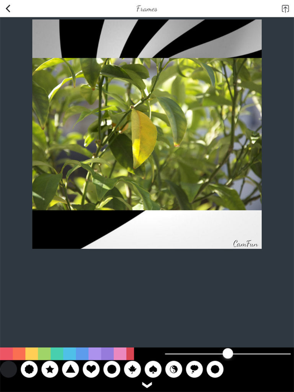 PIP Camera Split Pic Editor