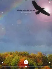shamanic journey drumming - frauke rotwein ipad capturas de pantalla 1