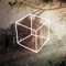 In Cube Escape: Case 23 you need to investigate the mysterious death of a woman