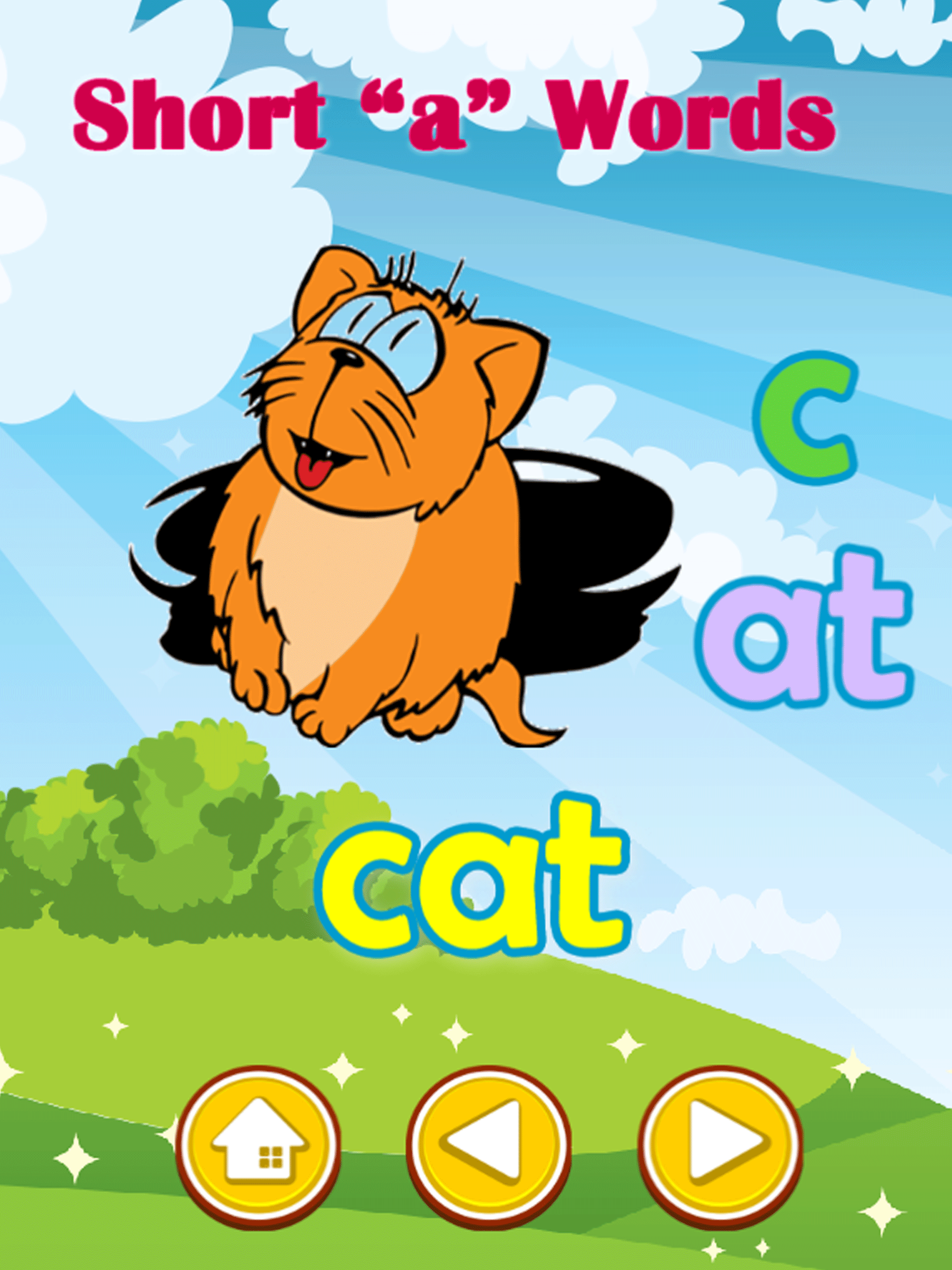 Reading Vowels and Consonants