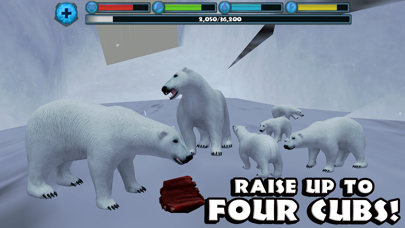 Polar Bear Simulator Screenshot