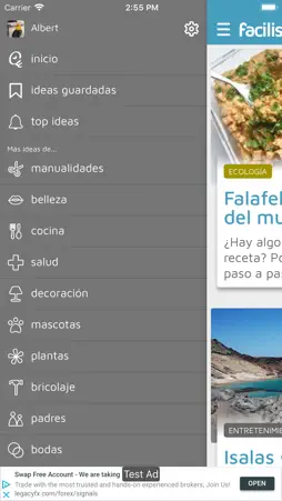 facilisimo screenshot 26