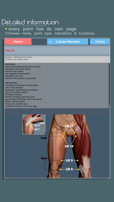Easy Acupuncture 3D - LITEのおすすめ画像5