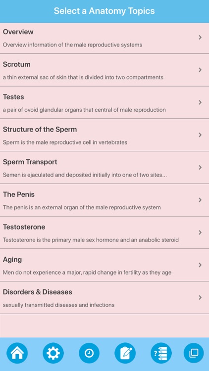 Male Reproductive System