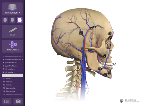 Interactive Anatomy - BG screenshot 2