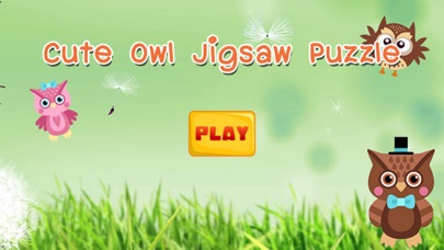 Owl Jigsaw Puzzle Learning screenshot 4