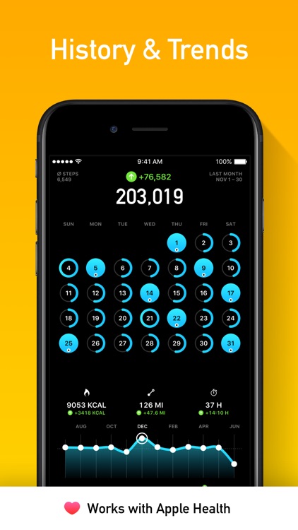 StepsApp Pedometer
