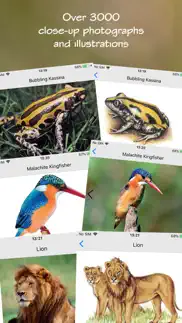 wildlife southern africa iphone screenshot 1