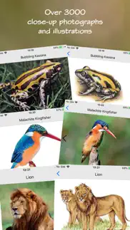 wildlife southern africa iphone images 1
