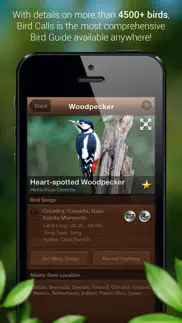 bird songs - bird call & guide iphone screenshot 2