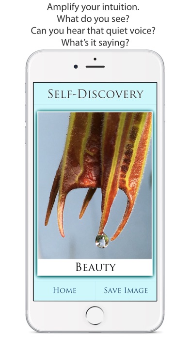 How to cancel & delete Self-Discovery from iphone & ipad 2