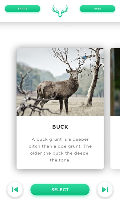 Deer Calls