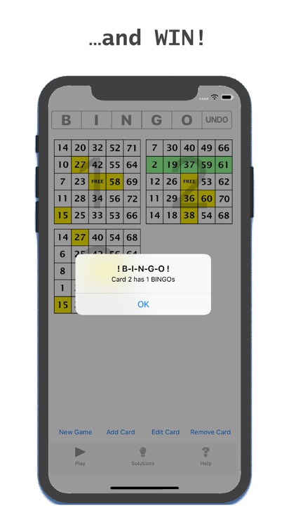 BINGO Minder screenshot-4