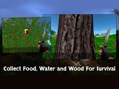 Survival on the Island