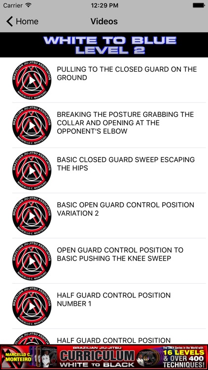 BJJ White to Blue Level 2 Step-By-Step Curriculum