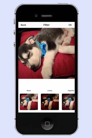 Dogstory-Post,Share and Follow the Dogs around screenshot 2