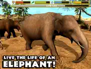 elephant simulator ipad capturas de pantalla 1
