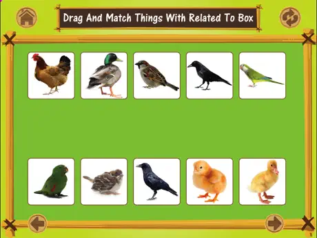 Pair Making Matching Puzzle
