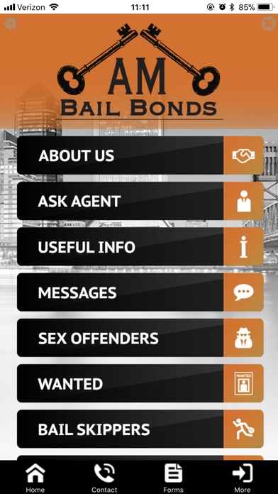 AM bail Bonds screenshot 4