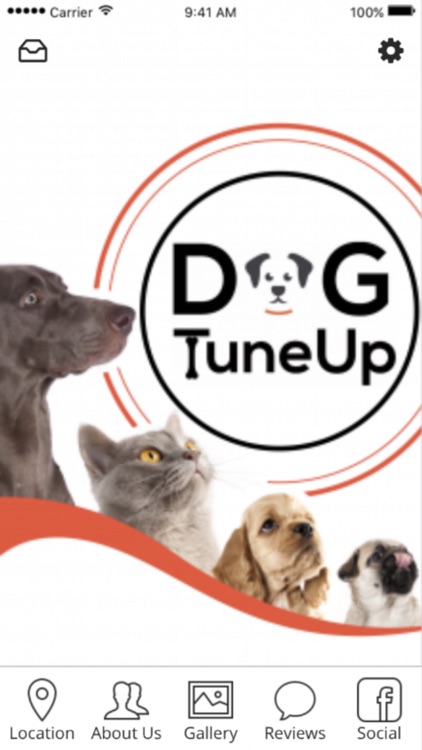 DogTuneUp