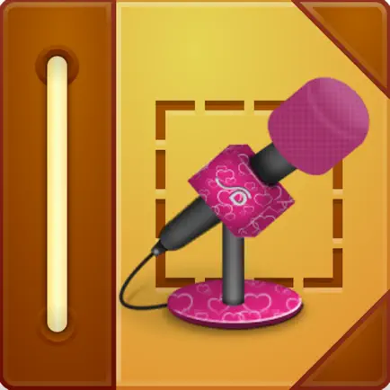 Meeting Lecture & Voice Audio Notes Record Cheats