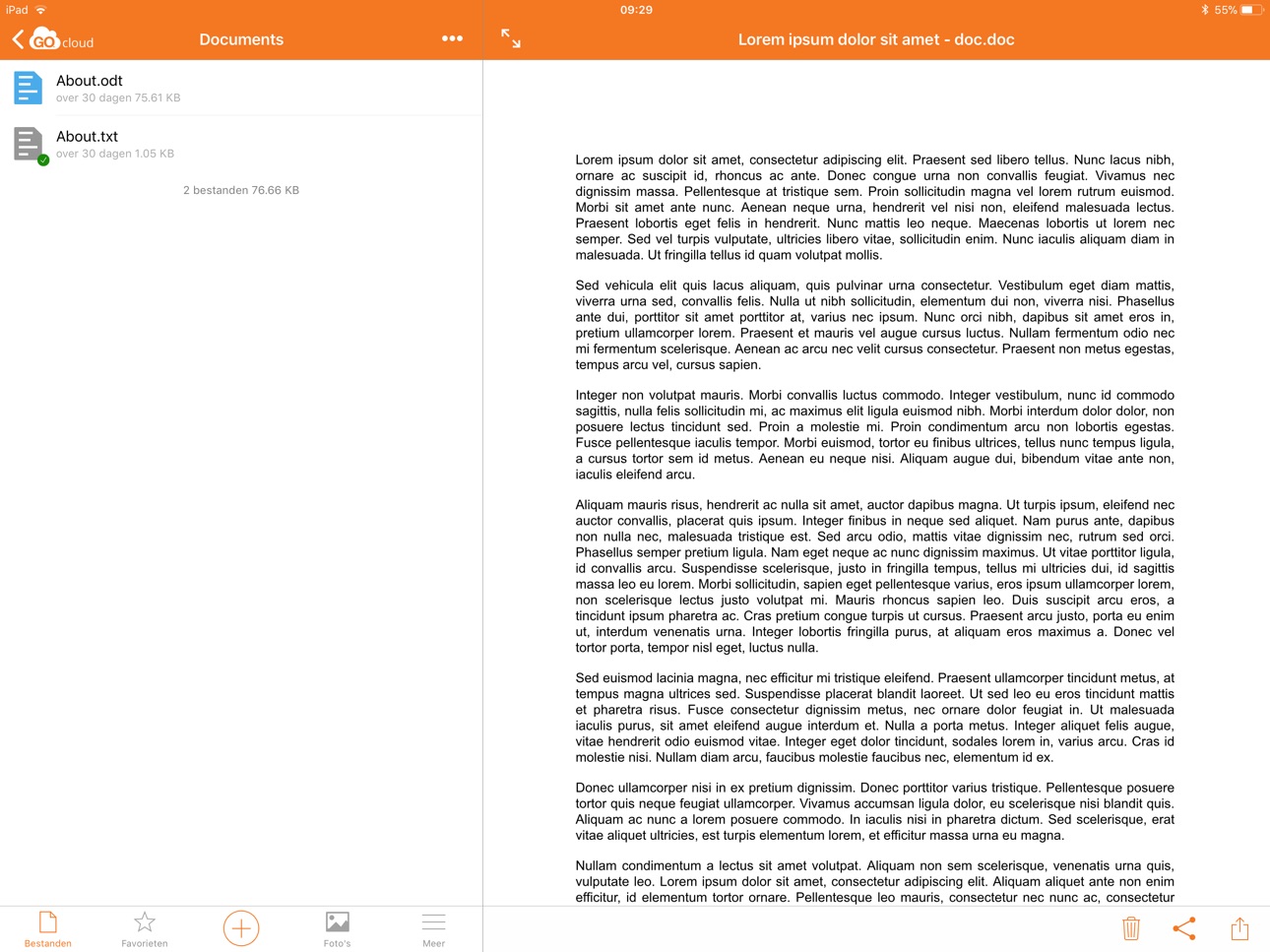 iPad screenshot