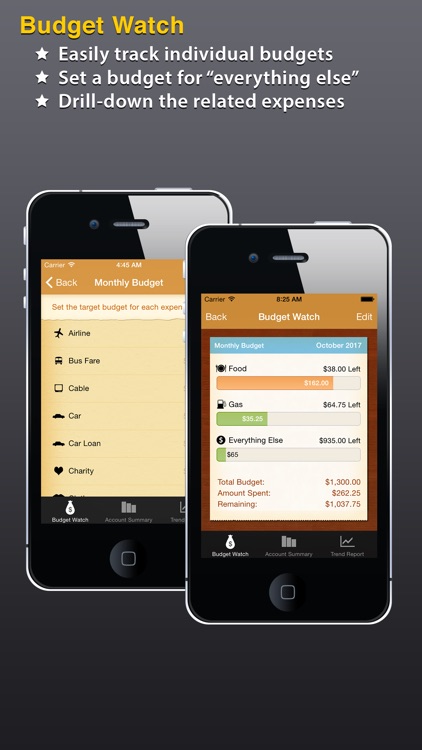 Cash Vault