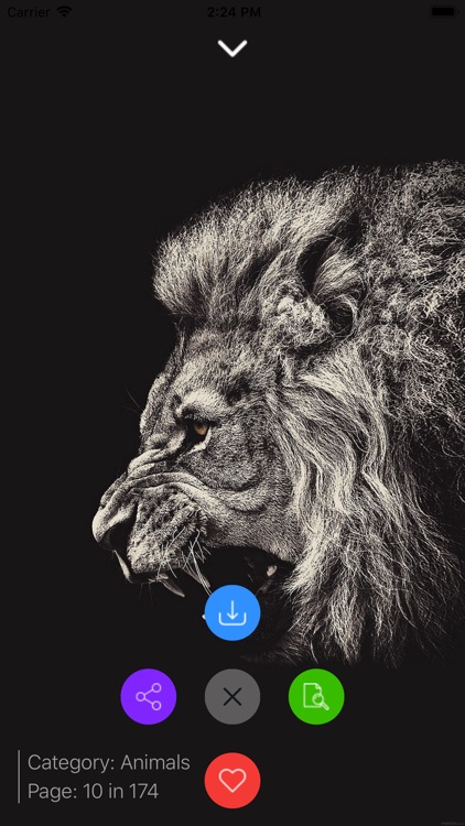 Wallpapers animals for iPhone