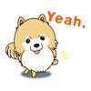 Pomeranian Dog Stickers