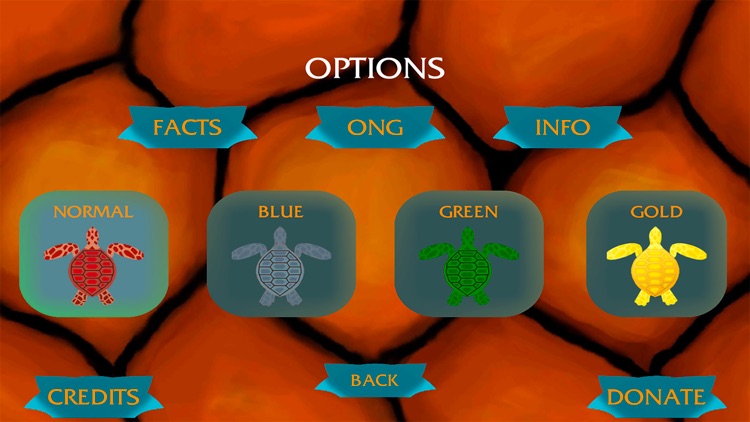 Turtle Ranger screenshot-5