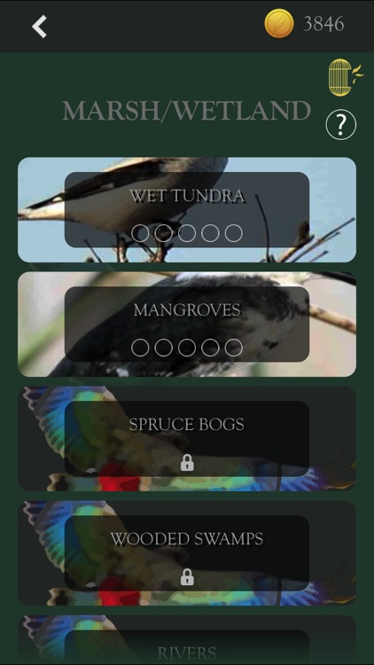 Kea: Create Birding Quiz Games