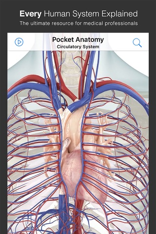 Pocket Anatomy. screenshot 2