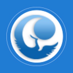 八里庄云网格-政府端