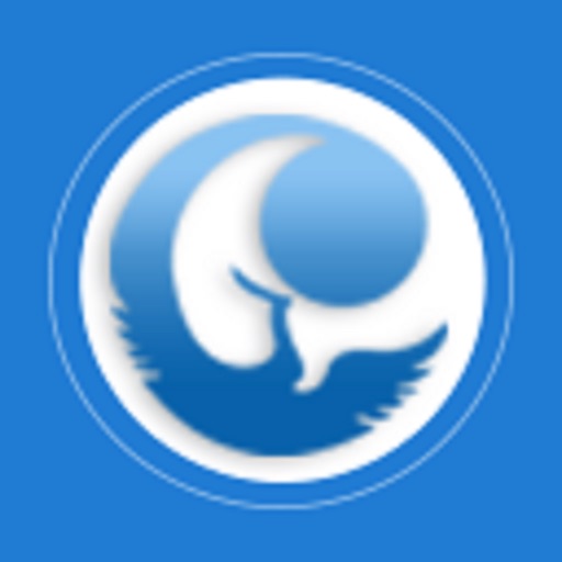 八里庄云网格-政府端