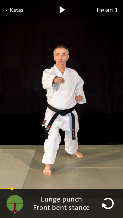 Kata Shotokan