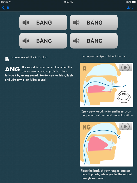 Standard Mandarin iPad screenshot 2 - Education app