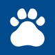 Cougar Events app icon - Education app for iPhone