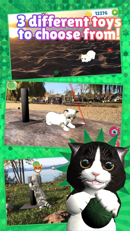 Kitty Paradise: AR Cat Care