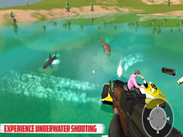 Underwater Shooting