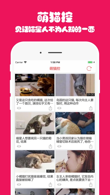 猫主子 screenshot-3
