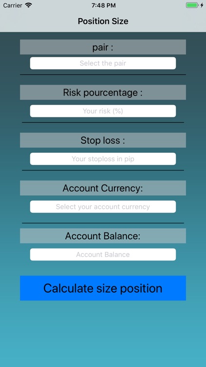 forex position size