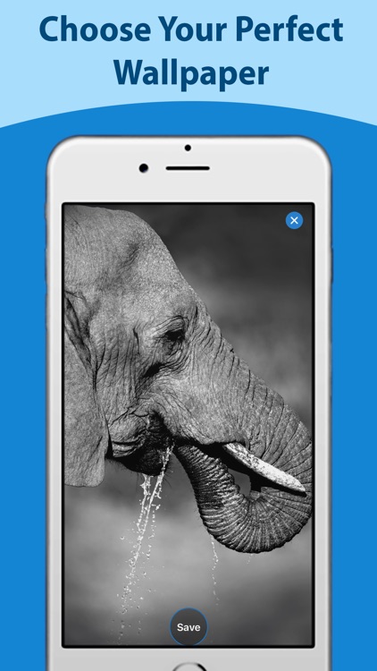 Status & Wallpaper for Whatsap