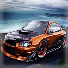 Activities of Crazy Speed Racer