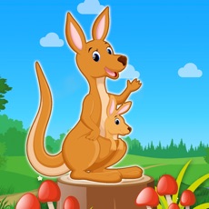 Activities of Kangaroo Jump Challenge