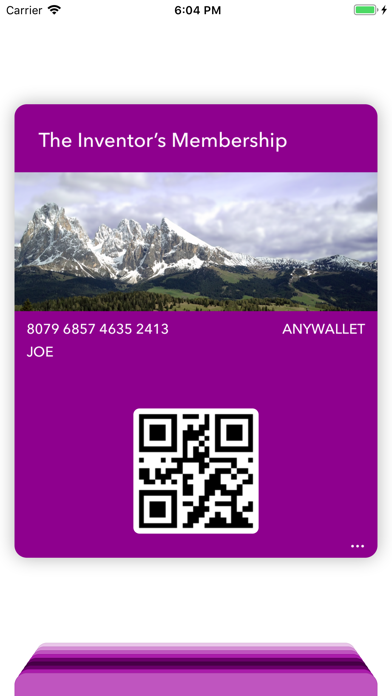 Screenshot #2 pour AnyWallet