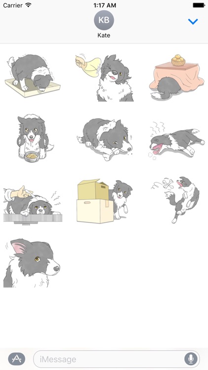 Love Border Collie Dog Sticker