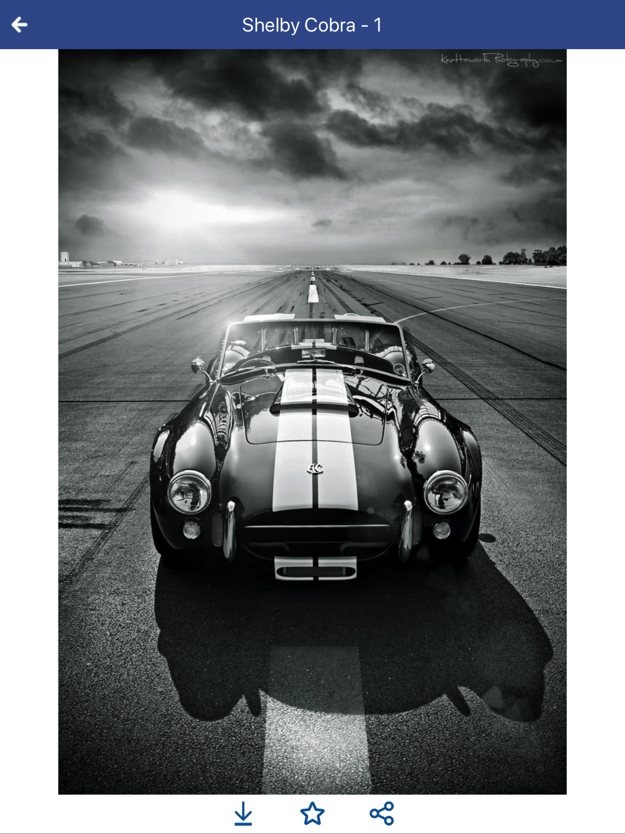WPs of Shelby Cobra